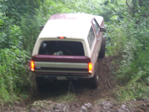 1993 Ford Bronco - A two-tone Ford Bronco navigates a wet, wooded path.