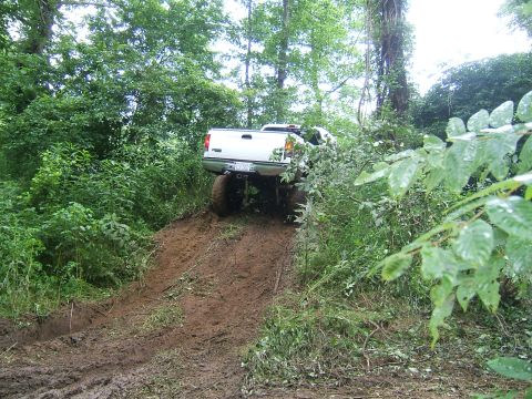1993 Ford Bronco - A white pickup truck navigates a steep, muddy incline surrounded by dense foliage.