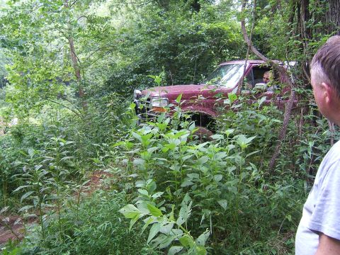 1993 Ford Bronco - A red Ford truck, likely from the early 1990s, is seen off-road surrounded by dense vegetation.