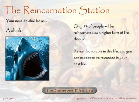 1990 Ford Bronco - The Reincarnation Station website discusses reincarnation and features an image of a shark.