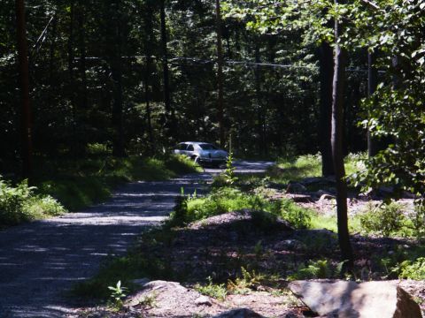 2001 Mercury Grand Marquis - A car drives down a secluded road surrounded by dense trees.