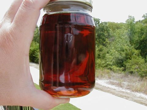 2002 Ford Excursion - Jar containing amber liquid and red items, held against a backdrop of trees and sky.