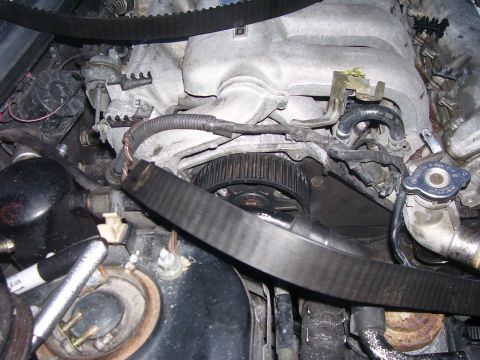 1994 Ford Probe - Close-up of an engine's timing belt and pulley system, showing mechanical components and associated hoses.