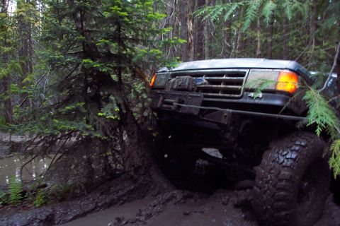 1996 Ford Bronco - Joey trying to thread a needle. Almost made it but got the tire on the wong side of the tree and had to winch it over. (6/9/2006)