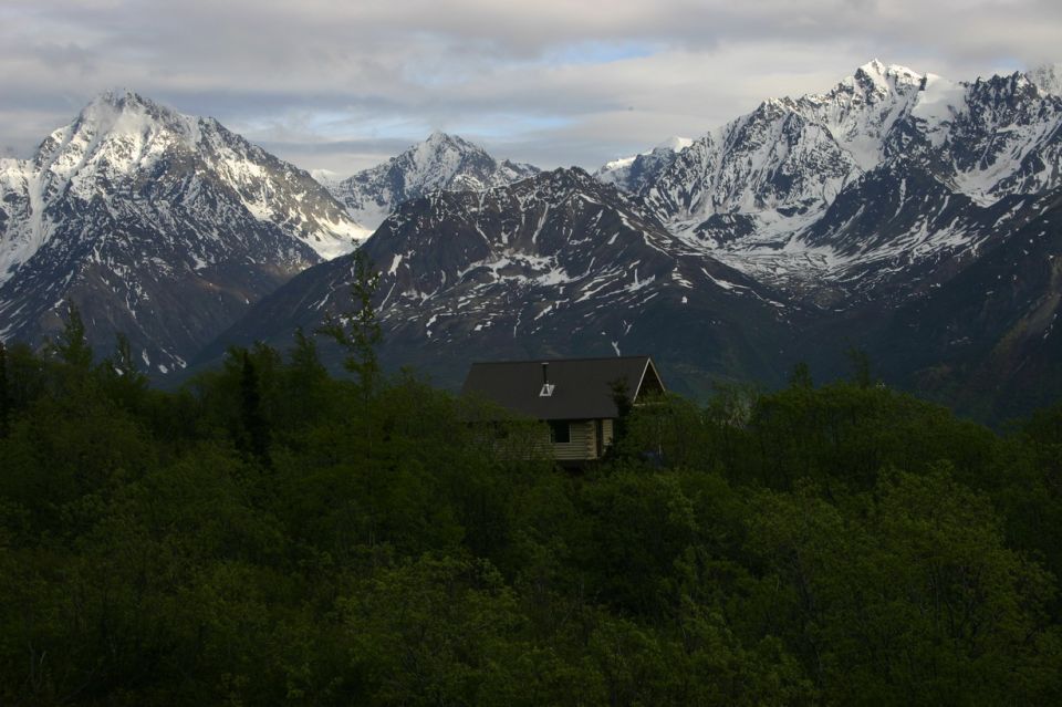 Cabin partially hidden by trees with snow-capped mountains in the background