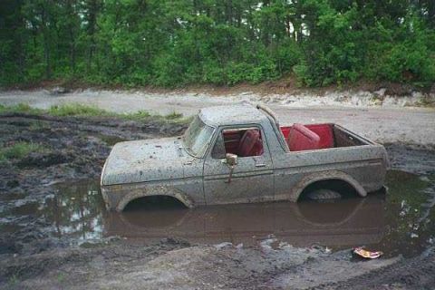 1990 Ford Bronco - This weathered pickup truck is deeply submerged in a muddy mire, surrounded by a dense forest.