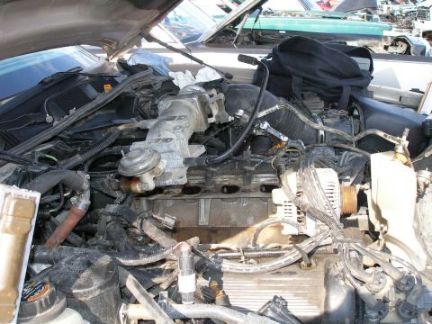 1998 Ford Crown Victoria - The engine bay of a 1998 Ford Crown Victoria is shown, with various components visible.