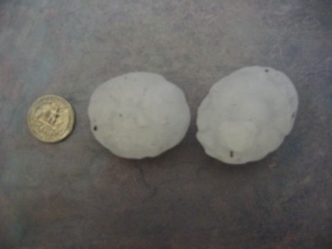 1996 Ford Bronco - Two large hailstones are shown next to a quarter for scale.