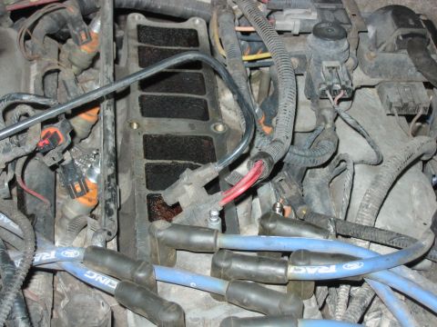 1992 Ford Bronco - Close-up of a V-engine's intake/valve cover area showing blue Ford Racing spark plug wires, black plug boots, and various electrical connec…