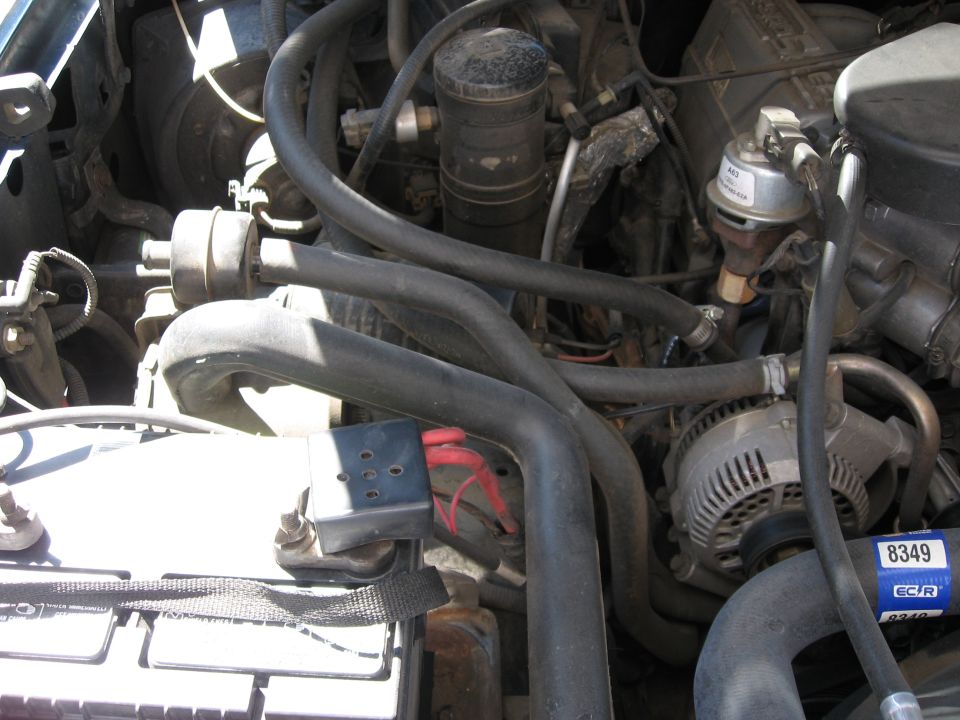 Engine bay with battery, alternator, and various hoses and components