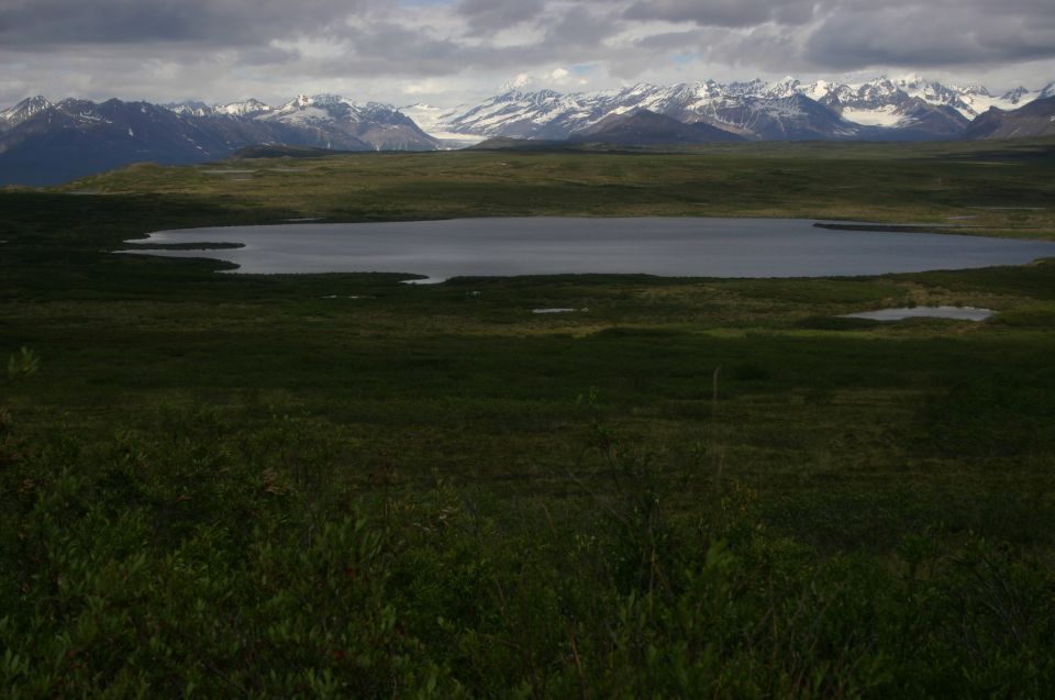 Mountain range with snow-capped peaks overlooks a dark lake surrounded by green tundra
