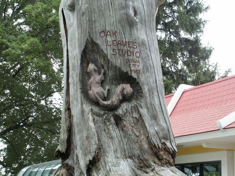2001 Mercury Grand Marquis - A car is partially visible behind a tree stump with carved text and a lizard.