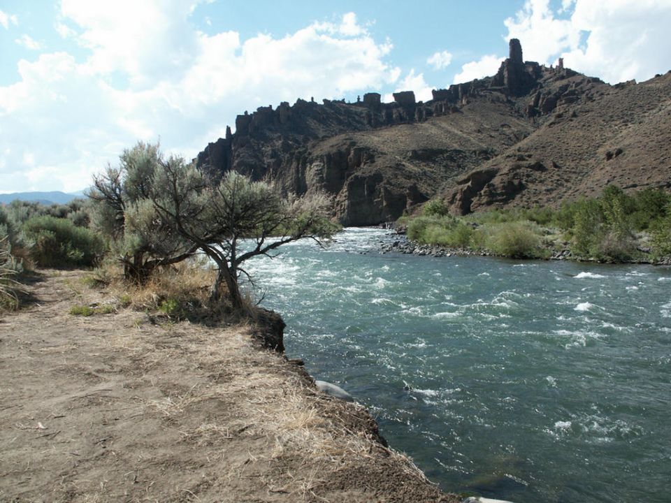 River flowing through a rocky canyon with a tree in the foreground