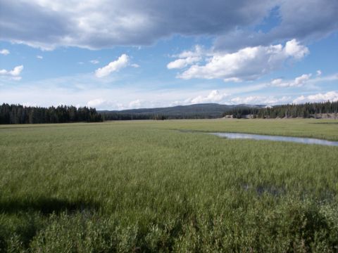 2001 Mercury Grand Marquis - A vast meadow with a gentle stream flows through it, bordered by a dense forest under a dramatic sky.