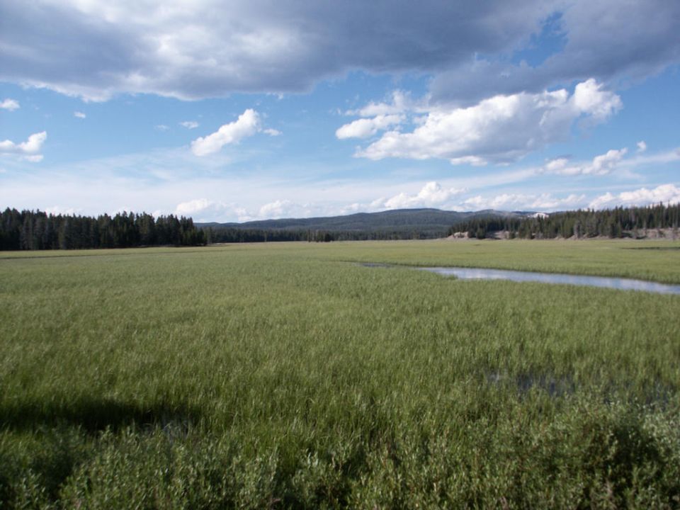 Wide grassy field with a winding river under a cloudy sky, trees in the distance