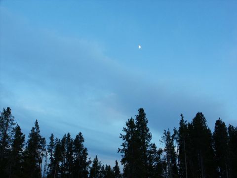 2001 Mercury Grand Marquis - Crescent moon hangs in the blue sky over a line of pine trees at dusk.