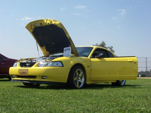 2002 Ford Mustang - Yellow 2002 Ford Mustang with hood and driver door open, parked on grass.