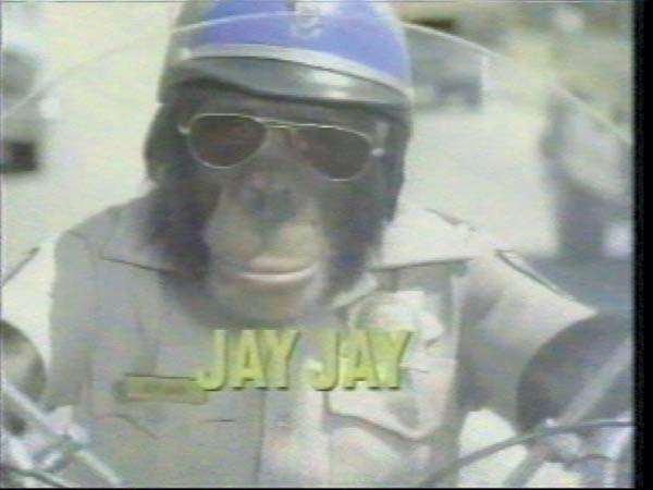 Chimpanzee in police uniform and sunglasses on a motorcycle, text reads JAY JAY