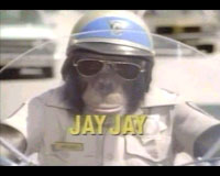 2001 Ford Crown Victoria - A monkey in a police uniform and sunglasses rides a motorcycle, with other vehicles blurred in the background.