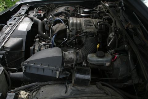 1989 Ford Crown Victoria LTD - The engine bay of a 1989 Ford Crown Victoria LTD is visible, with various components of the V8 engine clearly depicted.