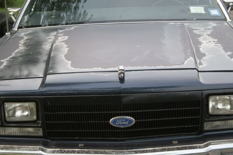 1989 Ford Crown Victoria LTD - The hood of a dark blue Ford Crown Victoria shows significant paint damage, with the grille and Ford emblem visible.