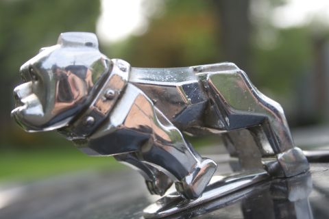1989 Ford Crown Victoria LTD - Chrome Mack bulldog hood ornament, a classic symbol for Mack Trucks.