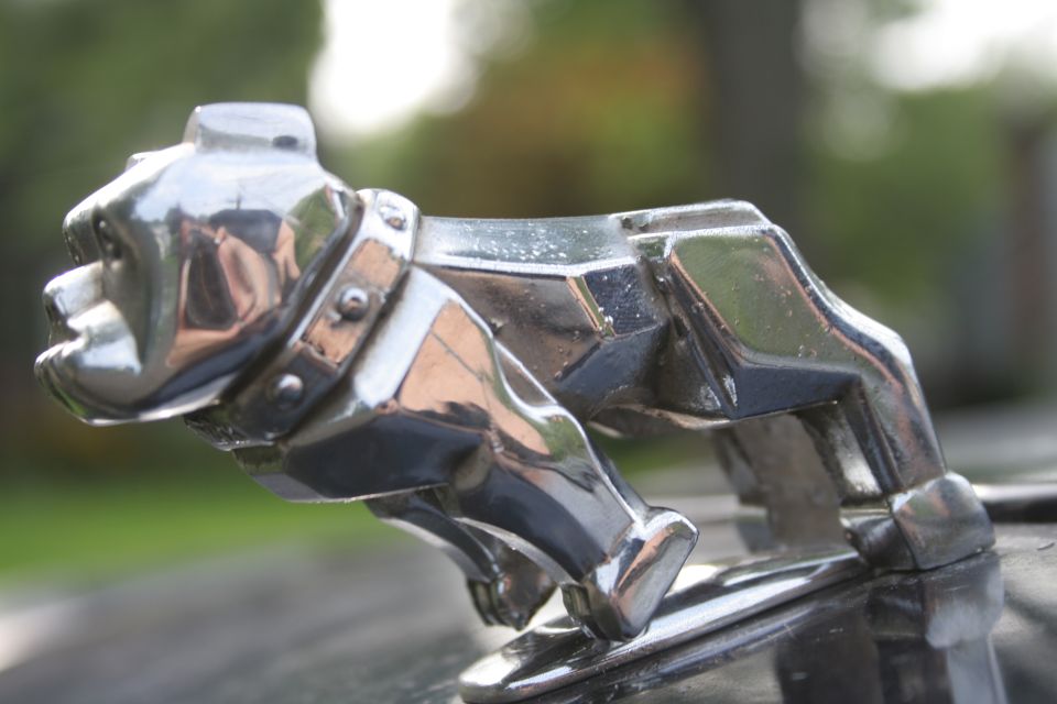 Chrome Mack-style bulldog hood ornament mounted on a dark hood