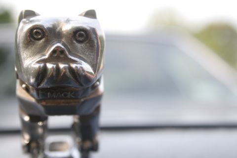 1989 Ford Crown Victoria LTD - A chrome bulldog hood ornament, likely from a Mack truck, is shown in detail.