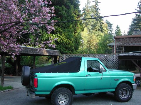 1992 Ford Bronco photo