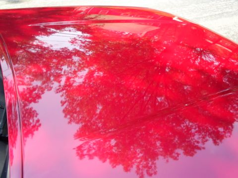 1995 Ford Crown Victoria - The reflection on the car's hood shows trees and the sky, obscuring vehicle details.