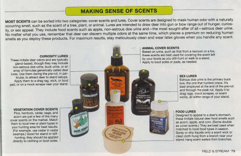 1986 Ford Bronco - Scents