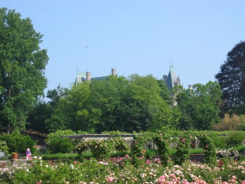 1985 Ford Crown Victoria LTD - The Biltmore Estate is viewed from its gardens, lush greenery and blooming flowers under a bright sky.