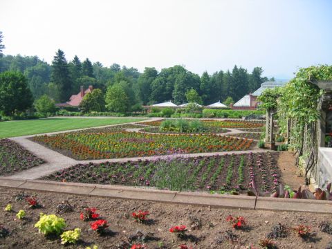 1985 Ford Crown Victoria LTD - Formal gardens at Biltmore Estate feature colorful flower beds and manicured lawns.