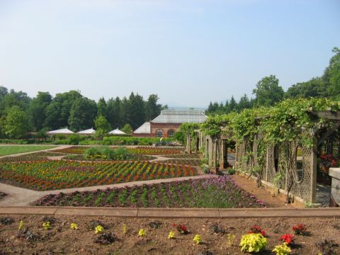 1985 Ford Crown Victoria LTD - A view of formal gardens manicured flower beds and a greenhouse structure under a clear sky.