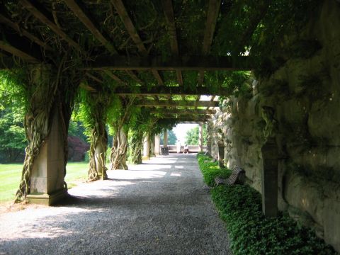 1985 Ford Crown Victoria LTD - A sun-dappled walkway passes under a vine-covered pergola next to a stone wall.