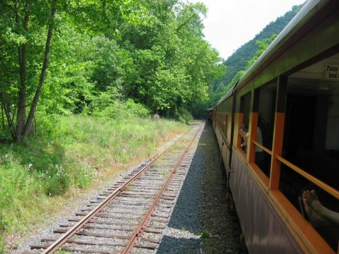 1985 Ford Crown Victoria LTD - A train travels along tracks through a wooded area on a sunny day.