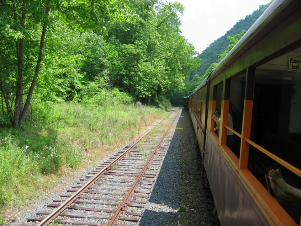 Train cars on tracks beside a grassy embankment with trees