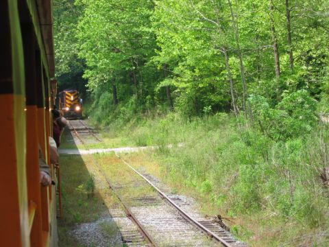 1985 Ford Crown Victoria LTD - Passenger train traveling through a lush green forest with another train visible ahead on a parallel track.