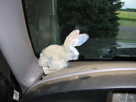 1995 Ford Bronco - A stuffed bunny sits on the dashboard of a vehicle, with a view of trees and a field through the windshield.