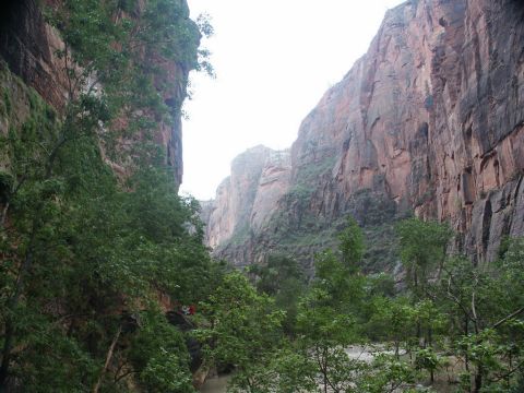2001 Mercury Grand Marquis - A scenic view of a deep canyon with lush vegetation and a river at the bottom.