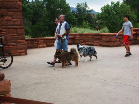 2001 Mercury Grand Marquis - People walk dogs outdoors near a stone structure with trees in the background.