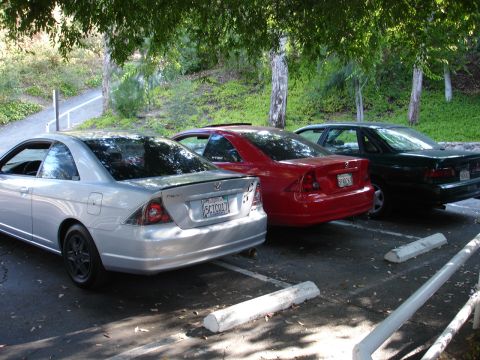1995 Ford Taurus - Three cars are parked in a row under trees, with the rear ends of each vehicle visible.