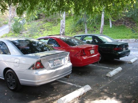 1995 Ford Taurus - Three sedans are parked in a lot under trees.