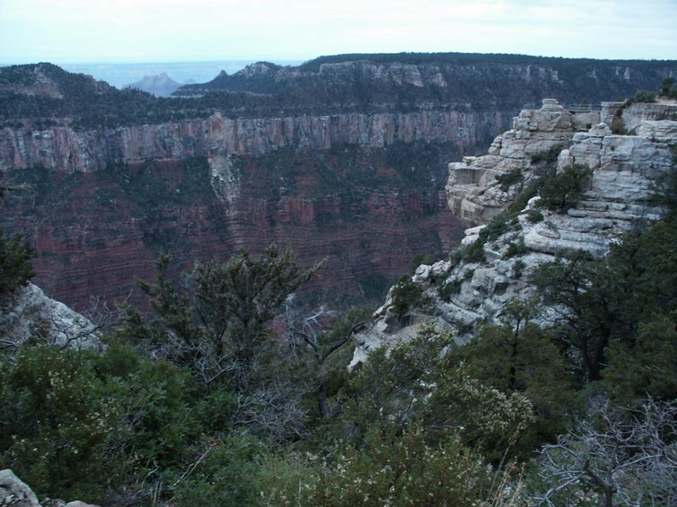 View of the Grand Canyon with layered rock formations and sparse vegetation