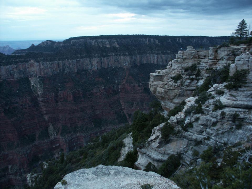 View of the Grand Canyon from a rocky overlook with a lone tree on the right
