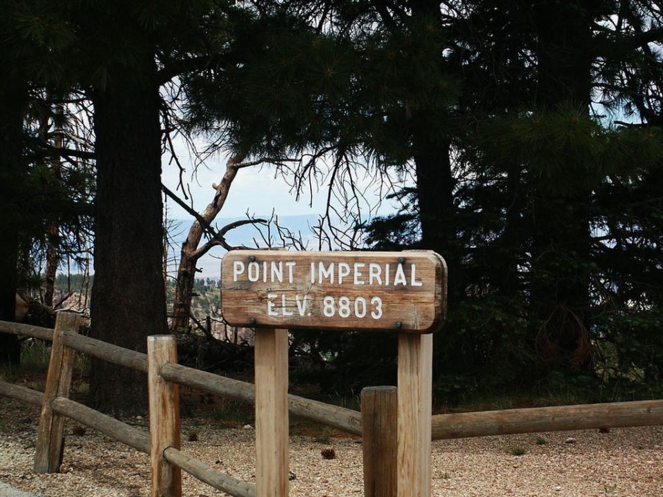 Wooden sign at Point Imperial, elevation 8803 feet, with trees and a distant view