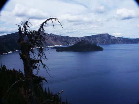 2001 Mercury Grand Marquis - A scenic view of Crater Lake, Wizard Island and a prominent dead tree in the foreground.