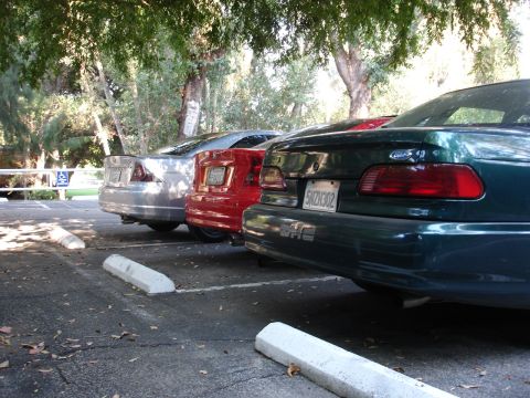 1995 Ford Taurus - Three cars are parked in a lot, viewed from the rear.