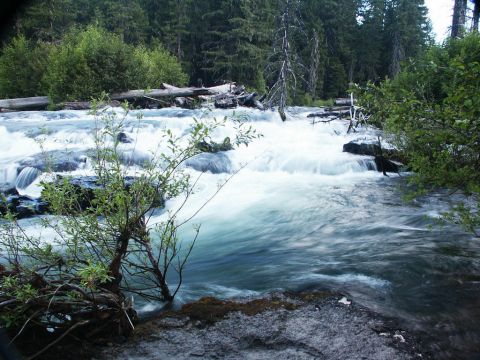 2001 Mercury Grand Marquis - A scenic view of a river flowing through a forest, with rapids and trees along the banks.