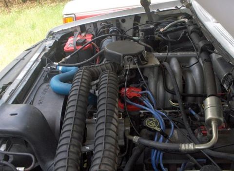 1993 Ford Bronco - Engine bay of a 1993 Ford Bronco, blue hoses and a red distributor cap.